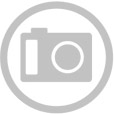 Kályhacsempe - Peremes tányéros havasi gyopár - 225 × 225 × 50 mm
